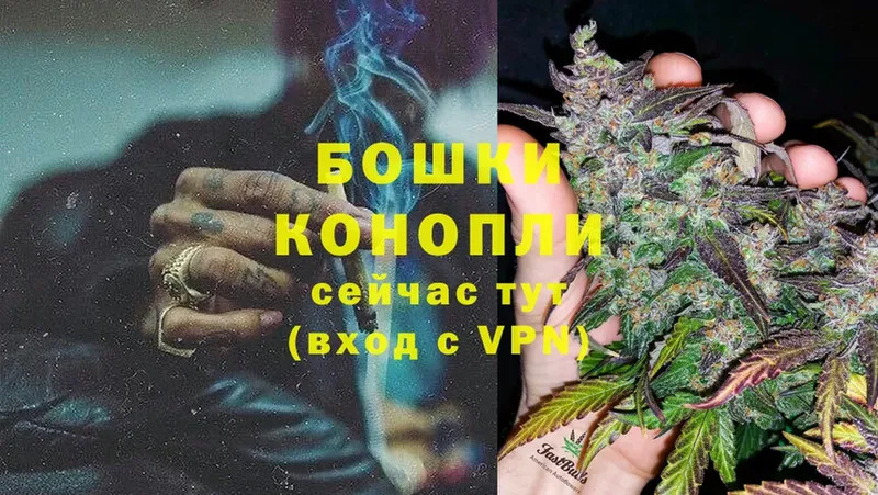 Каннабис OG Kush  Жиздра 